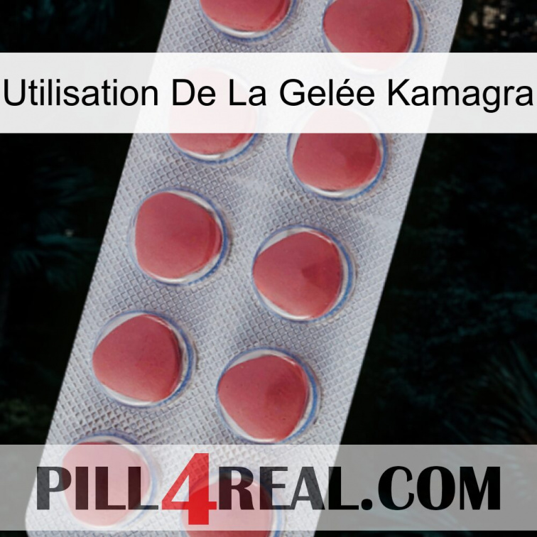 Utilisation De La Gelée Kamagra 18